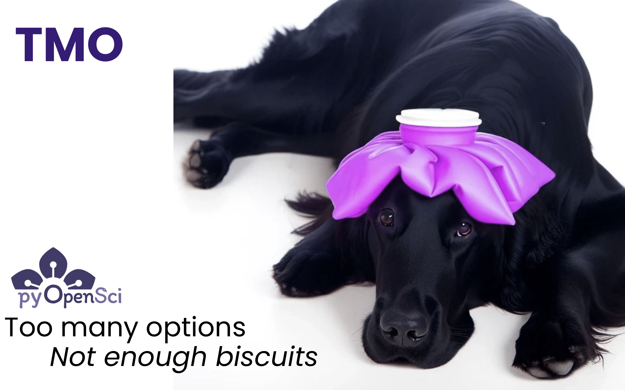 Image of a flat coated retriever lying down with a purple ice bag on its head looking sad.' style='width: 90%;